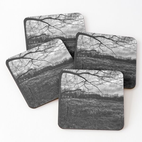 Item preview, Spring Meadow black and white designed and sold by RickPics.