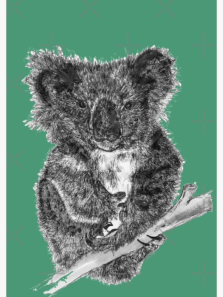 Stephanie the Koala by Wildcard-Sue