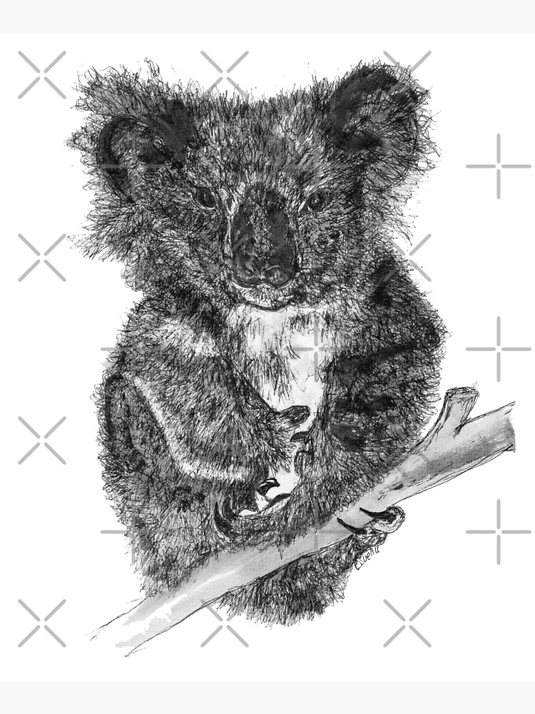 Stephanie the Koala by Wildcard-Sue