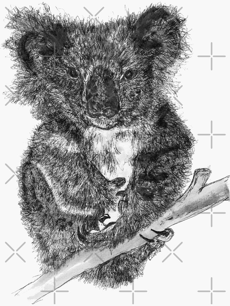 Stephanie the Koala by Wildcard-Sue