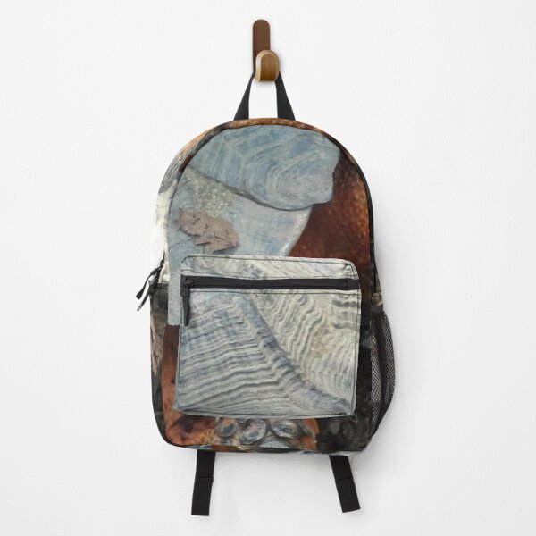 Item preview, Wild eyed turtle photo by katy Christoff designed and sold by KatyChristoff.