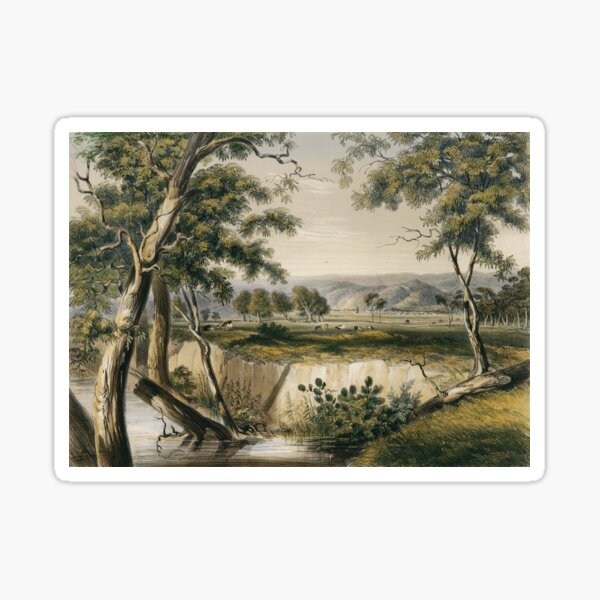 The City of Adelaide, from the Torrens near the Reed Beds Sticker