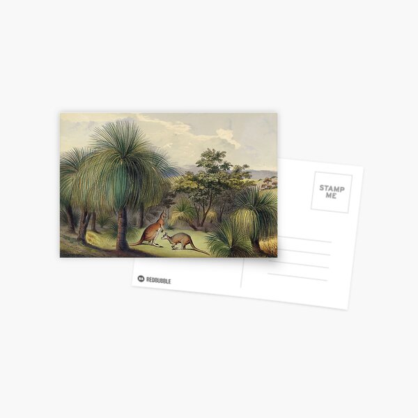 Item preview, Grass trees at Yankallilla with the red kangaroo designed and sold by State Library of South Australia.