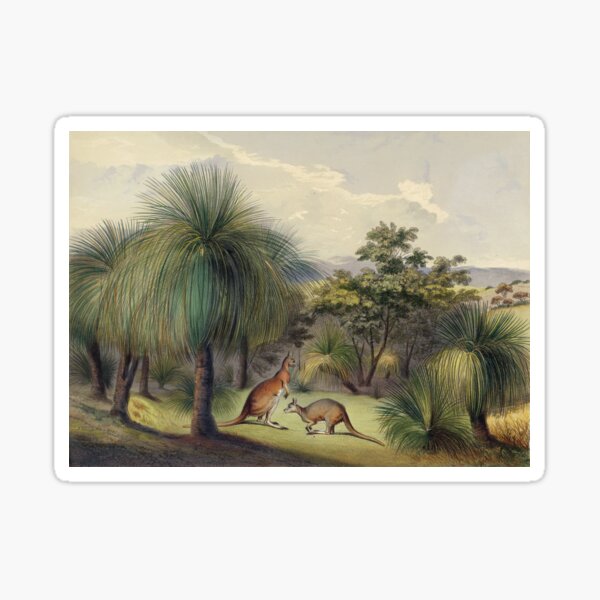 Grass trees at Yankallilla with the red kangaroo Sticker