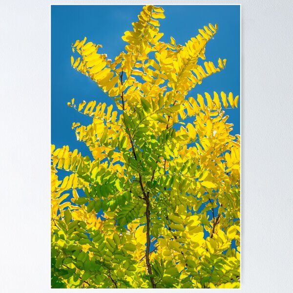 Item preview, green yellow blue designed and sold by sharpbokeh.