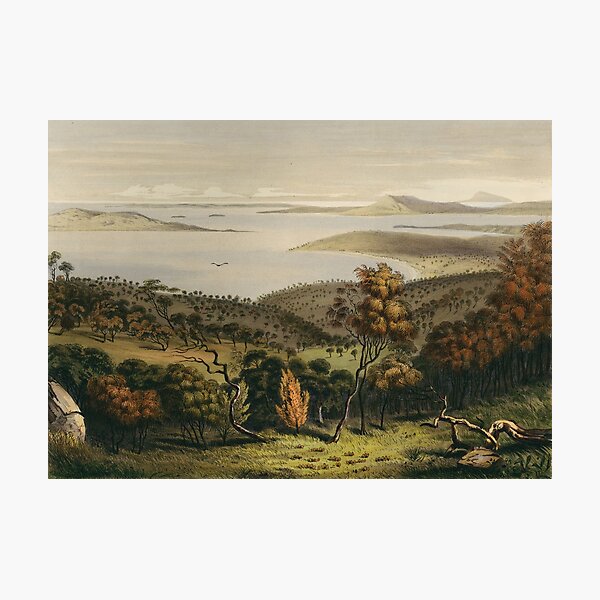 Item preview, Port Lincoln, looking across Boston Bay towards Spencers Gulf designed and sold by State Library of South Australia.