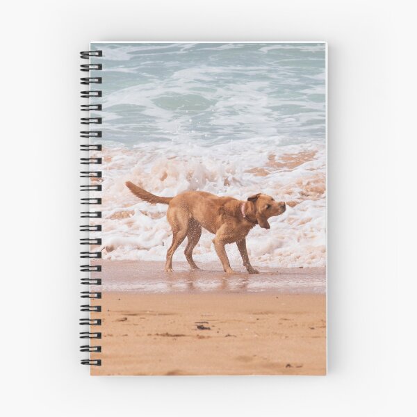 Item preview, Frankie the American Labrador Shaking Off the Sea Water NSW Central Coast of Australia designed and sold by suziq1962.