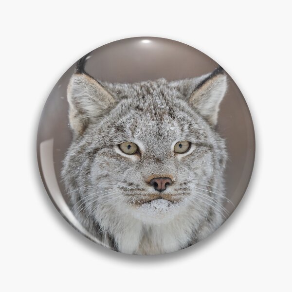 Item preview, Canada Lynx Closeup designed and sold by mlorenz.