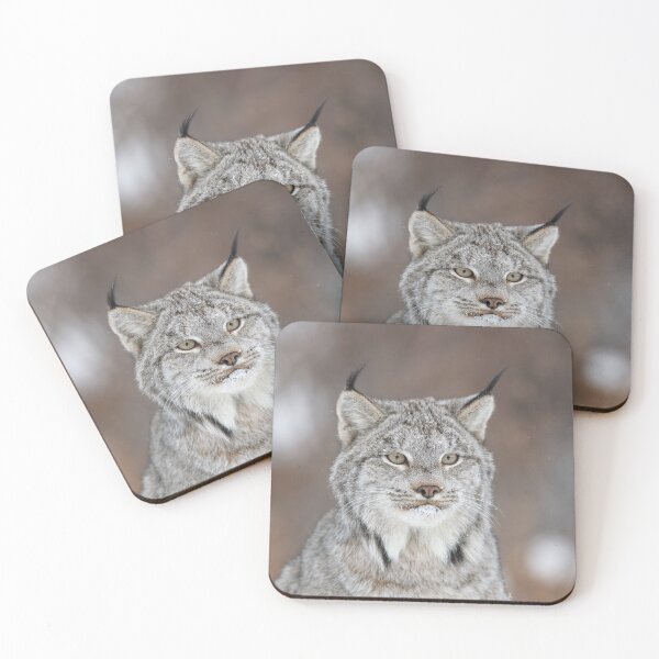 Item preview, Canada Lynx Closeup designed and sold by mlorenz.