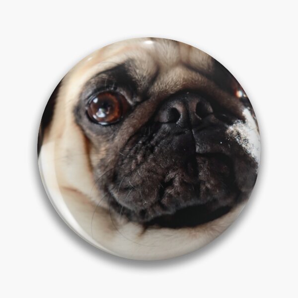 Item preview, Coco The Pug designed and sold by Evita.