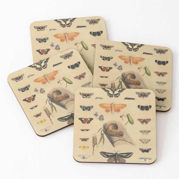 Item preview, Entomology of South Australia - Lepidoptera  designed and sold by State Library of South Australia.