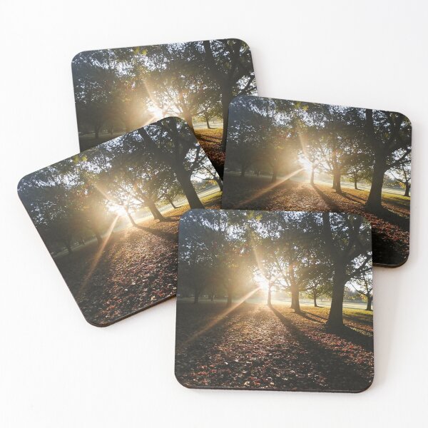 Item preview, southwark park london autumn morning light designed and sold by am-mantilla2156.