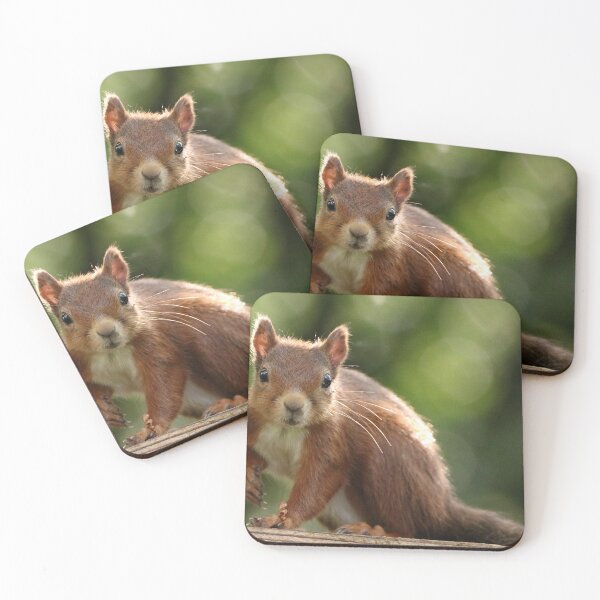 Item preview, Do you have Foodies for me designed and sold by Dorothy Thomson.