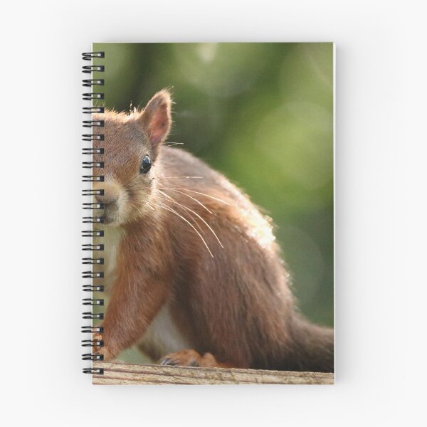 Item preview, Do you have Foodies for me designed and sold by Dorothy Thomson.