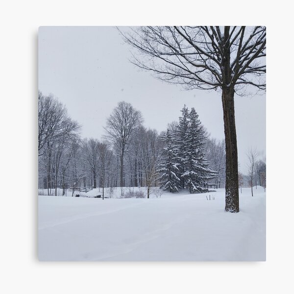Item preview, Winter Trees designed and sold by Sone28.
