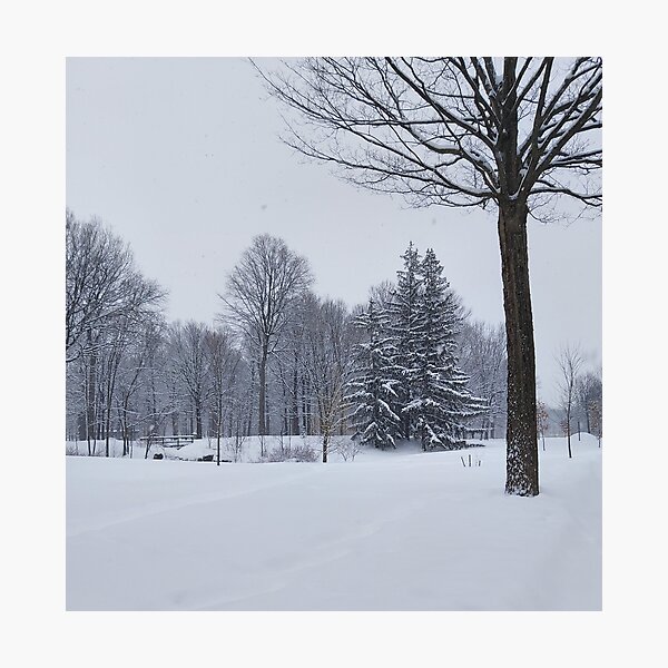 Item preview, Winter Trees designed and sold by Sone28.