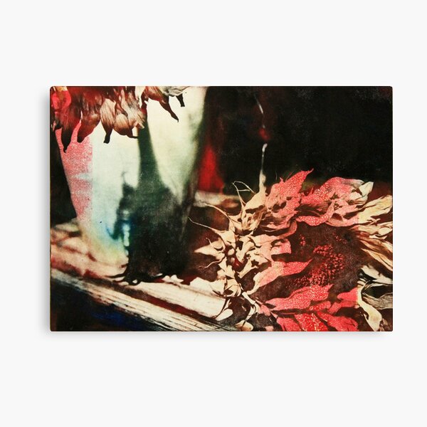 Girasole Canvas Print