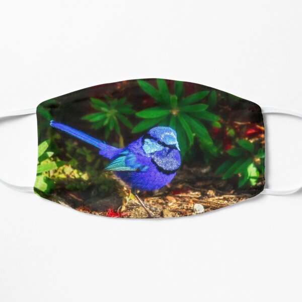 Blue Wren, Bushy Lakes, Margaret River, Perth Flat Mask