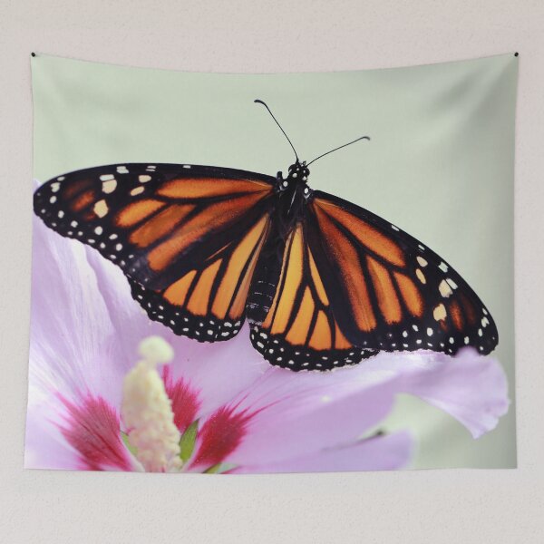 Item preview, Monarch on Rose of Sharon designed and sold by StampCity.