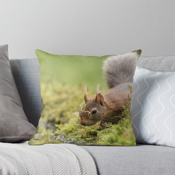 Item preview, Trying out a new look designed and sold by Anthony Brewer.