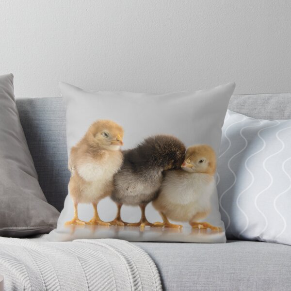 Item preview, Chick hug designed and sold by flamendes.