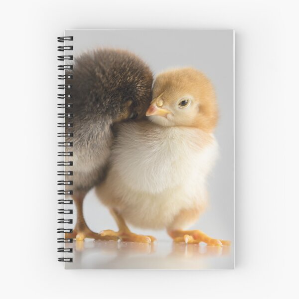 Item preview, Chick hug designed and sold by flamendes.