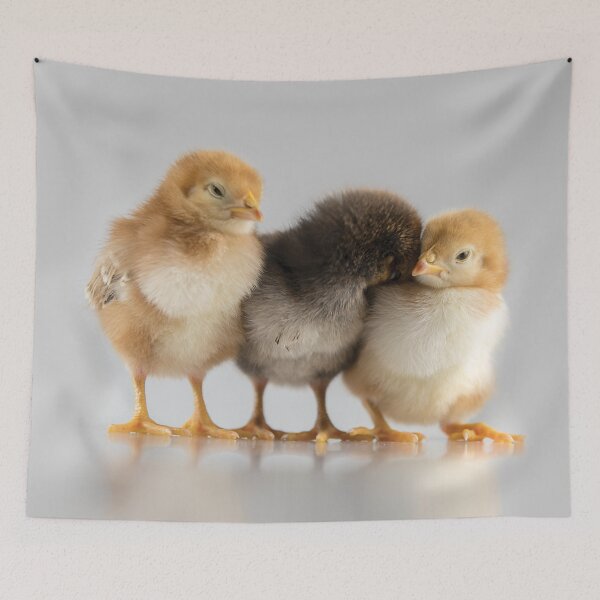 Item preview, Chick hug designed and sold by flamendes.
