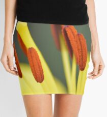 Stamen Mini Skirt