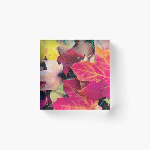 Item preview, Fallen Leaves in DC designed and sold by PSCSCo.