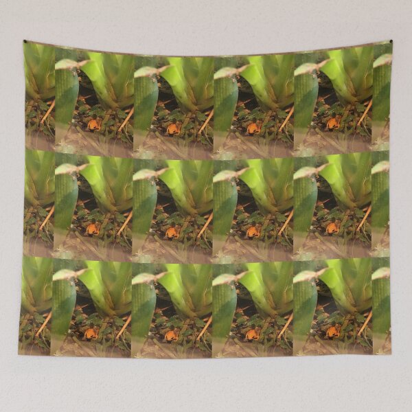 Item preview, Golden Poison Dart Frog designed and sold by Taranodongirl7.