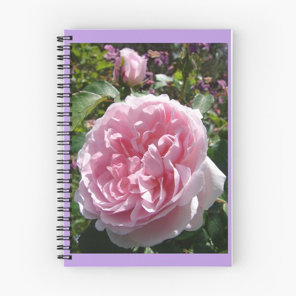 Item preview, Pink Rose Flower designed and sold by Sarah  Rajkotwala.