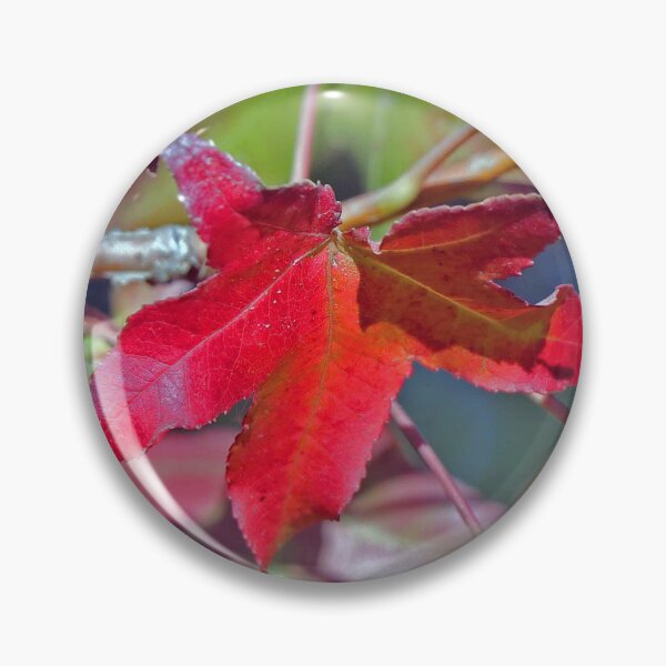 Item preview, Fall Colors - Sycamore designed and sold by shellcreek.