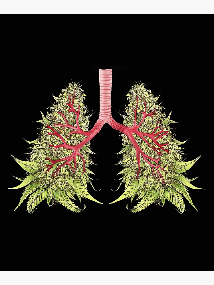 Weed Lungs Poster For Sale By Jacquelineedwar Redbubble