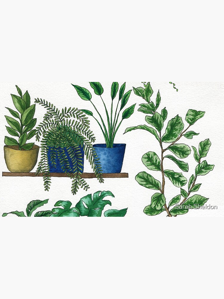 Dream Plant Selfie 1 - Fiddle Leaf by avibrantnest