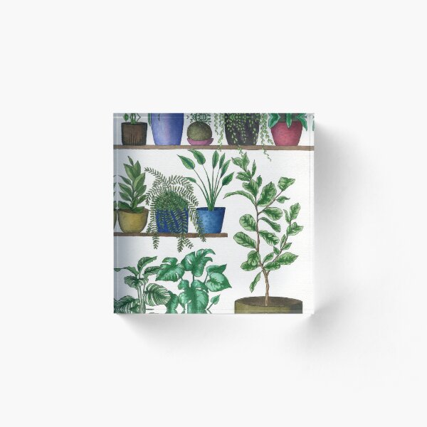 Dream Plant Selfie 1 - Fiddle Leaf Acrylic Block