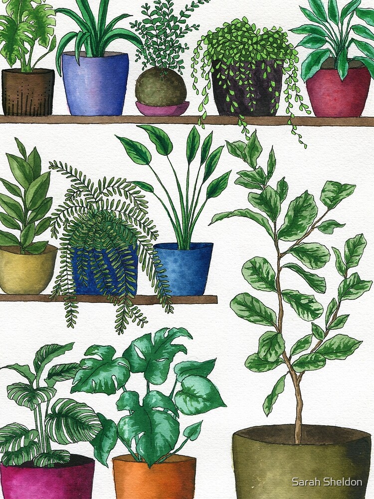 Dream Plant Selfie 1 - Fiddle Leaf by avibrantnest
