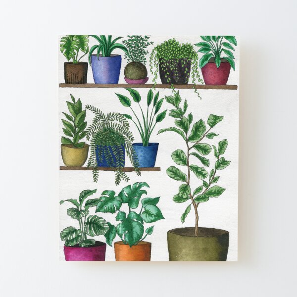 Dream Plant Selfie 1 - Fiddle Leaf Wood Mounted Print