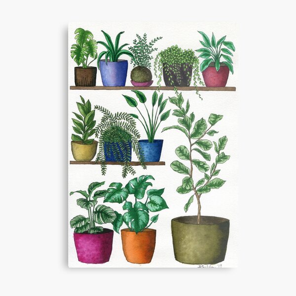 Dream Plant Selfie 1 - Fiddle Leaf Metal Print