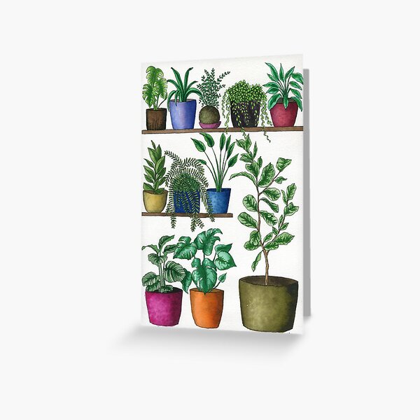 Dream Plant Selfie 1 - Fiddle Leaf Greeting Card