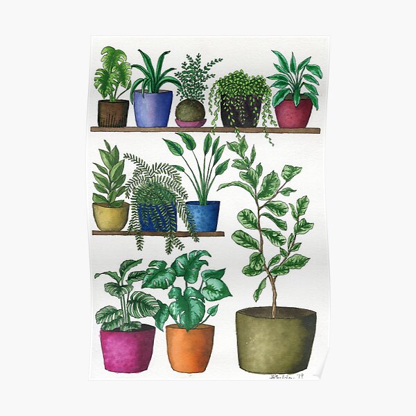 Dream Plant Selfie 1 - Fiddle Leaf Poster