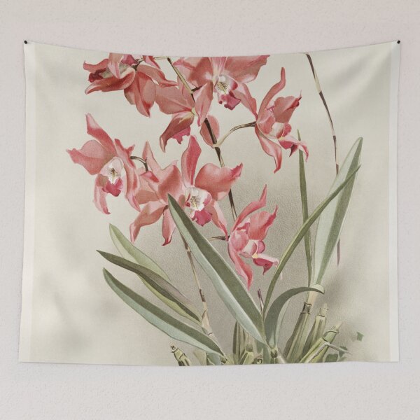 Item preview, Reichenbachia: Orchids Illustrated and Described designed and sold by EsotericBotanic.