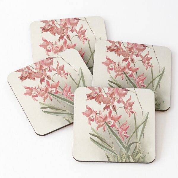 Item preview, Reichenbachia: Orchids Illustrated and Described designed and sold by EsotericBotanic.