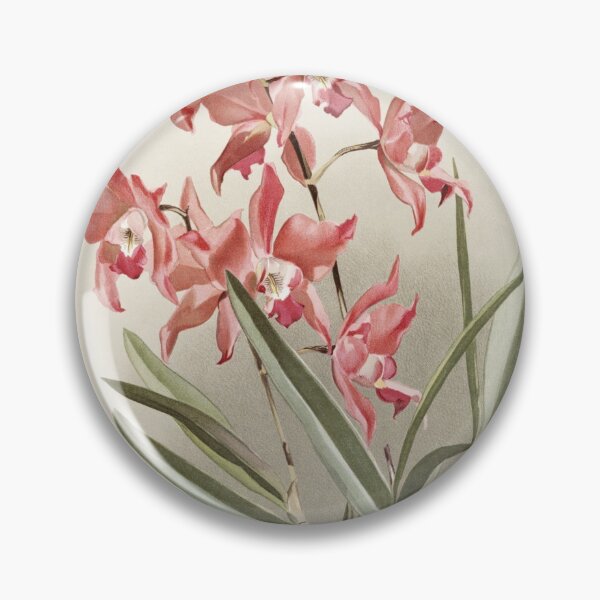 Item preview, Reichenbachia: Orchids Illustrated and Described designed and sold by EsotericBotanic.