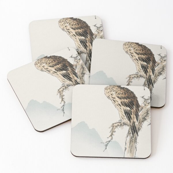 Item preview, black eared kite illustration 43380648341 designed and sold by Bird-Lore.