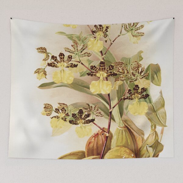 Item preview, Reichenbachia: Orchids Illustrated and Described designed and sold by EsotericBotanic.