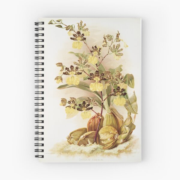 Item preview, Reichenbachia: Orchids Illustrated and Described designed and sold by EsotericBotanic.