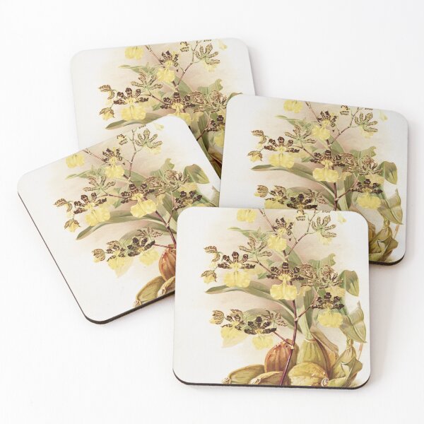 Item preview, Reichenbachia: Orchids Illustrated and Described designed and sold by EsotericBotanic.