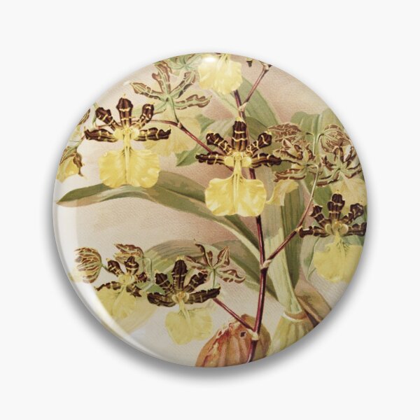 Item preview, Reichenbachia: Orchids Illustrated and Described designed and sold by EsotericBotanic.