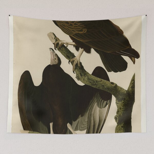 Item preview, 151 Turkey Buzzard designed and sold by Bird-Lore.