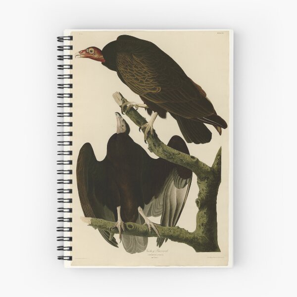 Item preview, 151 Turkey Buzzard designed and sold by Bird-Lore.
